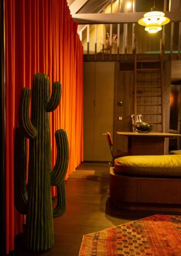 a cactus in a living room with an orange curtain at Inarden Yosemite Cabin in Érezée