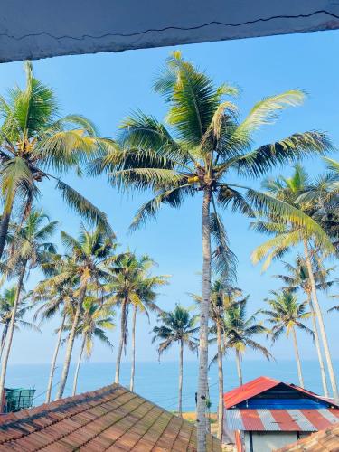 a group of palm trees on the beach at Paradise Inn Beach Resort in Varkala