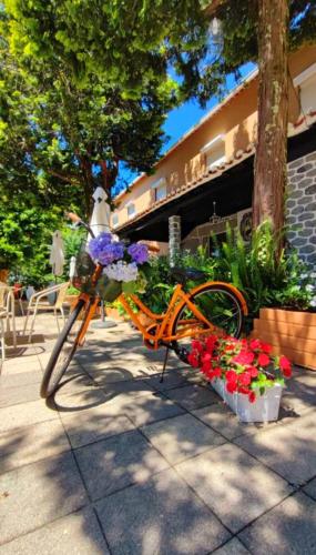 an orange bike parked next to some flowers at Corredoura Garden in Caldelas