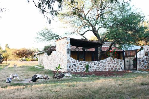 The building in which the holiday home is located