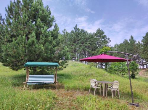 Zahrada ubytování Green Camping Akhaltsikhe