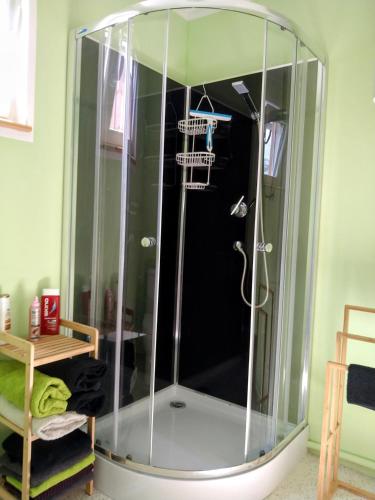 a shower with a glass enclosure in a room at Agroturystyka Kozianka in Iława