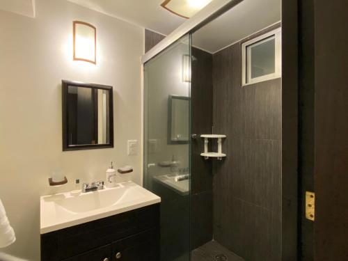 a bathroom with a sink and a glass shower at Bosque de Magnolias 93 in Mexico City