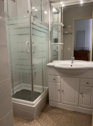 une salle de bain avec douche et lavabo dans l'établissement les villageoises, au Barcarès