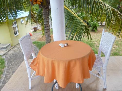 Fotografie z fotogalerie ubytování Chez Clenya Guesthouse v destinaci Rodrigues Island