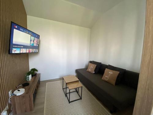 un salon avec un canapé et une télévision à écran plat dans l'établissement Joli Studio Lumineux et moderne, à Champigny-sur-Marne