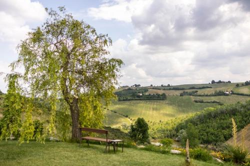 a bench sitting in the grass next to a tree at Villa Agavì in Marano sul Panaro