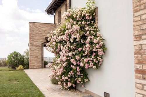 a bush of pink flowers on the side of a building at Villa Agavì in Marano sul Panaro