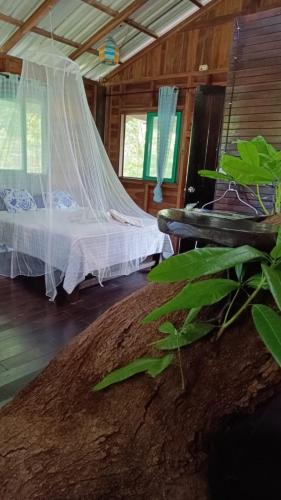a bedroom with a bed with a net at Playa Grande Lodge & Tree House in Cahuita