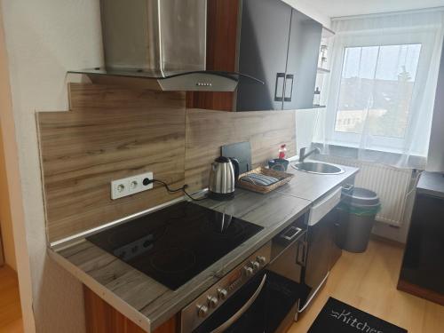 a small kitchen with a stove and a sink at Work and Stay Eschweiler 80 Qm 5 Betten 2 Schlafzimmer,Neu in Eschweiler