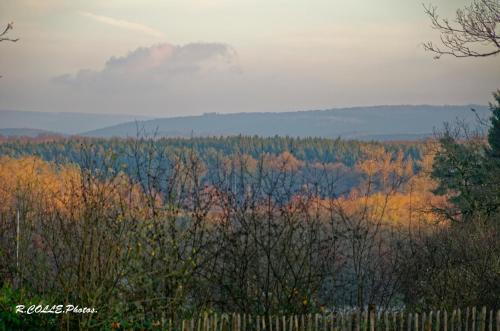 Priroda u blizini of the bed and breakfast