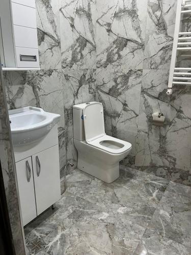 a bathroom with a toilet and a sink at Apartment in the city center on Bagramyan avenue 23 in Yerevan