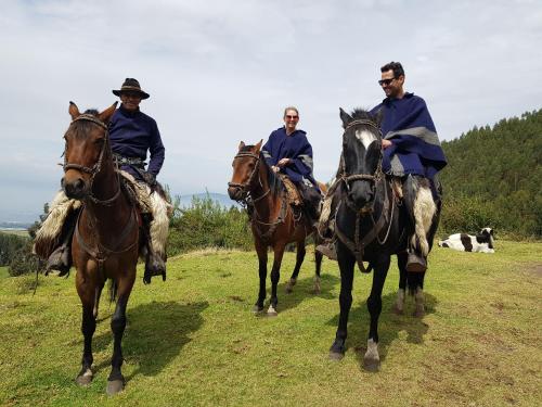 three men riding horses in a field with cows at Hacienda Jimenita Wildlife Reserve in Puembo
