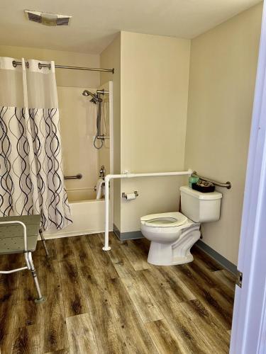 a bathroom with a toilet and a shower at Four Seasons Inn in Maggie Valley