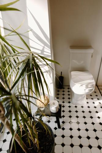 a bathroom with a toilet and a potted plant at Paulīnes in Alsunga