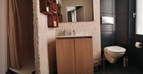 a bathroom with a sink and a toilet and a mirror at Appartement ELYNE Quartier des Templiers à 400m de la mer in Saint-Raphaël
