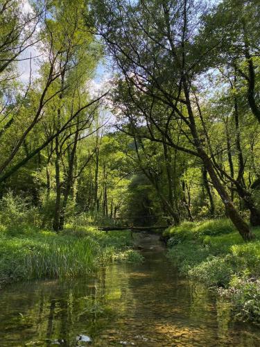 Fotografie z fotogalerie ubytování Sana river camp v destinaci Ključ