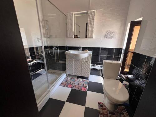 a bathroom with a toilet and a sink and a shower at Гостевой дом Датка in Talas