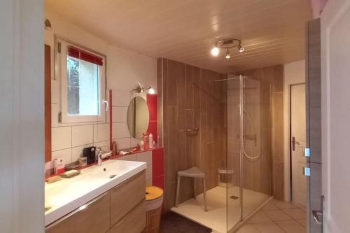 une salle de bain avec une douche, un lavabo et un miroir dans l'établissement Villa Le grand bleu 7 personnes Vue lac, à Saint-Jorioz