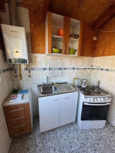 una piccola cucina con fornelli e lavello di Cabañas Sin Limites a Puerto Ingeniero Ibáñez