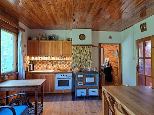a kitchen with a stove and a wooden ceiling at Chatička Hanička u lesa in Střílky