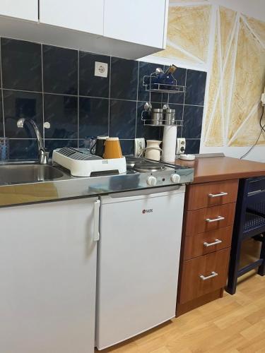 Una cocina o zona de cocina en Apartman Perper
