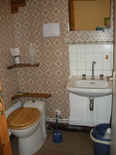 une salle de bain avec toilettes et lavabo dans l'établissement Gîtes autonomes chez l'habitant 2, à Bagnères-de-Bigorre