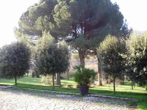a group of trees in a park with a sidewalk at Tenuta Montelaura in Forino