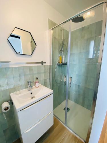 une salle de bain avec un lavabo et une douche dans l'établissement Le Petit Paul-T2 cosy rénové, à Villeurbanne