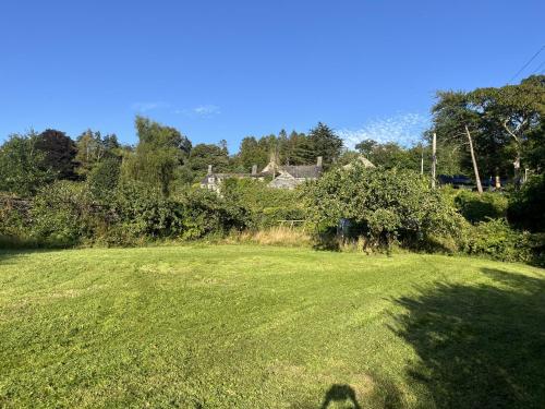 a dog standing in a field of grass at Maes Y Neuadd Country House in Talsarnau