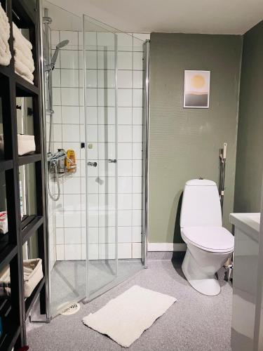 a bathroom with a toilet and a glass shower at Sentralt beliggende studioleilighet in Gol