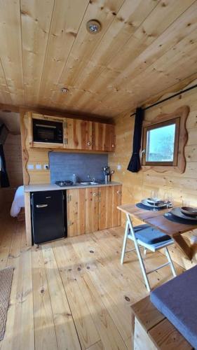- une cuisine avec un réfrigérateur noir et une table dans une cabine dans l'établissement Tiny House Petite Balnéo Cheminée exterieure, à Lisle-sur-Tarn