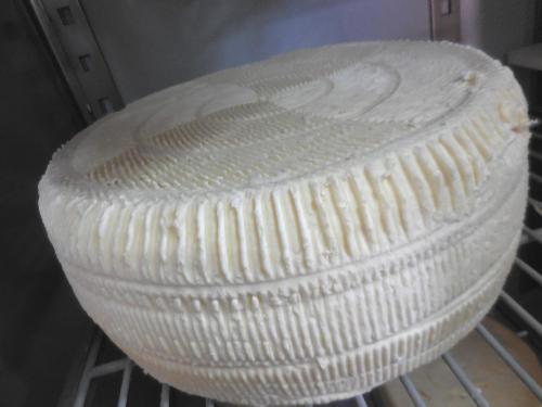 a white bowl is sitting on a cooling rack at Tenuta Montelaura in Forino
