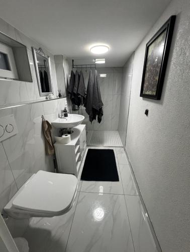 a white bathroom with a toilet and a sink at Gemütlich Wohnen Sinsheim 2 in Sinsheim