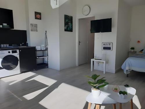 TV a/nebo společenská místnost v ubytování Appartement Le Classik' PARKING PRIVÉ