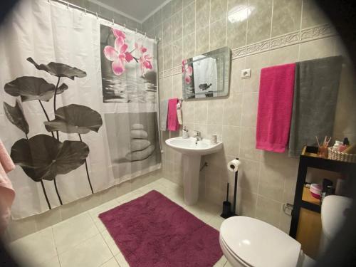 a bathroom with a sink and a toilet and a shower at Apartamento Bela Vista em Castro Daire in Castro Daire