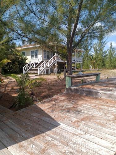 a house with a tree and a bench in front of it at Scena's Place in Alice Town