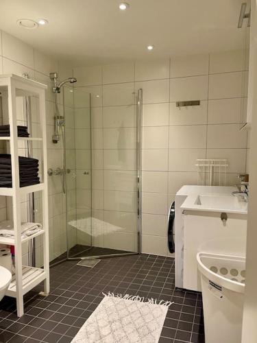une salle de bain avec une douche en verre et un lavabo dans l'établissement Nordisk moderne leilighet med parkering, à Tomasjorda