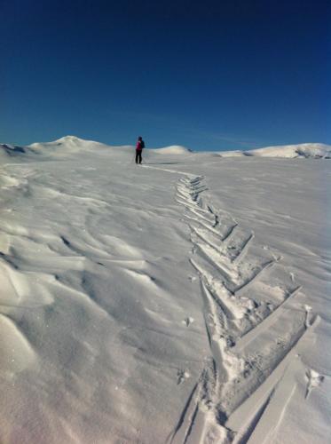 a person standing on top of a snow covered field at Eternus Paradise in Tärnaby