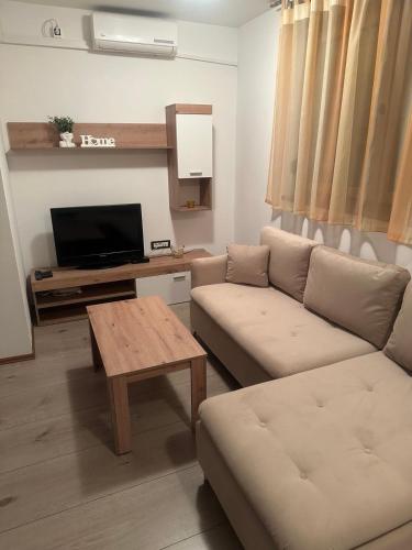 a living room with a couch and a table at Apartments with a parking space Delnice, Gorski kotar - 20247 in Delnice