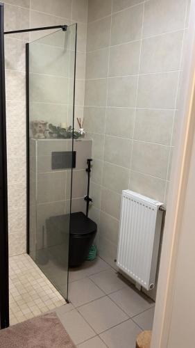 a bathroom with a glass shower with a toilet at Beau Studio in Élancourt