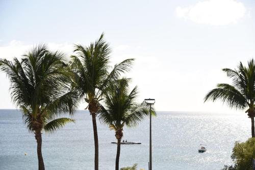 a group of palm trees in front of the ocean at Maison Heiwa in Schœlcher