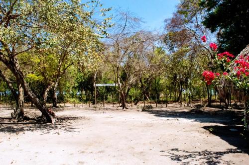 a dirt road with trees and red flowers on it at Palma Plata islas del Rosario in Isla Grande