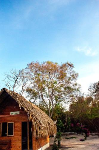 a hut with a straw roof and a tree at Palma Plata islas del Rosario in Isla Grande