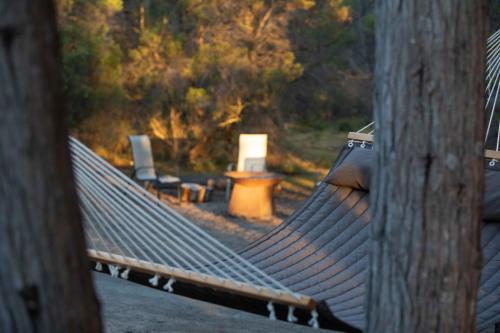 a hammock in a park with a bench and trees at Island Alive Guest House in Pelican Lagoon