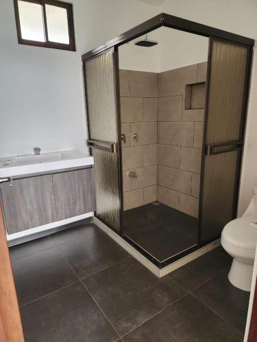 a bathroom with a shower with a toilet and a tub at Volcan Hule Lodging in Río Cuarto