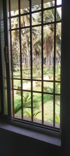 a window with a view of a palm tree at Eco tree in Kottakupam