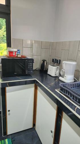 TeahupooにあるVaimiti Lodge 2のキッチン(電子レンジ、その他の電化製品付)