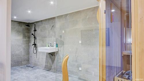 a bathroom with a glass shower with a sink and a shower at La Villa Phoenix in Saint-Pierre