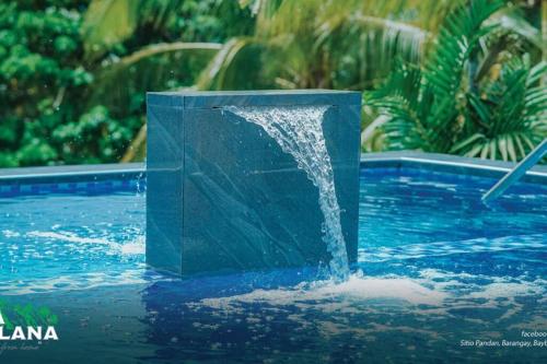Kolam renang di atau dekat dengan The Black Villa